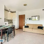 Rent 2 bedroom apartment of 55 m² in Milan