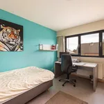 Maison de 1036 m² avec 4 chambre(s) en location à Hoogstraten