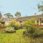 Detached house to rent in Oaklands Drive, Wokingham RG41