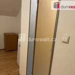 Rent 1 bedroom house in Prague