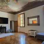 Rent 7 bedroom apartment of 165 m² in FIRENZE