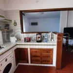 Rent 4 bedroom apartment of 120 m² in Palermo