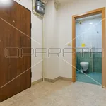 Rent 1 bedroom apartment of 55 m² in City of Zagreb