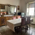 Rent 4 bedroom apartment of 120 m² in Roma