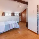 Alugar 1 quarto apartamento em Porto