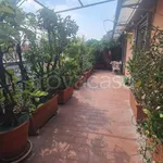 Rent 3 bedroom apartment of 100 m² in Milano