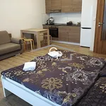 Pronájem apartmánu 1+kk s ter., Lipno nad Vltavou