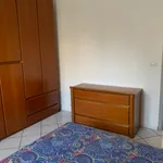 Rent 1 bedroom apartment of 60 m² in Segrate MI