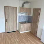 Rent 1 bedroom apartment in Praha 4