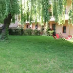 Rent 2 bedroom apartment in Auderghem