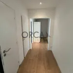 Rent 2 bedroom apartment in Hodonín