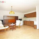 Rent 2 bedroom apartment of 50 m² in Trhový Štěpánov