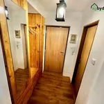 Rent 2 bedroom apartment of 50 m² in Plzeň