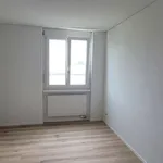 4.5-Zimmer-Wohnung mit grosser Terrasse im Zentrum von Sins | Emeria