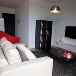 Rent 1 bedroom apartment of 40 m² in Maastricht