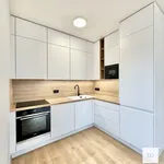 Rent 2 bedroom apartment of 51 m² in Prague