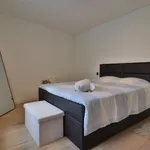 Rent 1 bedroom apartment in Kortrijk