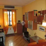 Rent 2 bedroom apartment of 55 m² in Monza