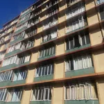 Rent 1 bedroom apartment in Pretoria