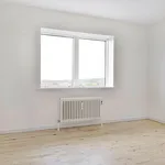 Rent 4 bedroom house of 100 m² in Aalborg SØ