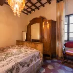 Rent 1 bedroom apartment in Florence