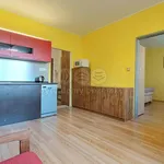 Rent 1 bedroom apartment of 39 m² in Písek