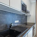 Rent 3 bedroom apartment in Budapest