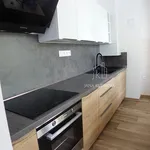 Pronájem bytu 2+1 58m²