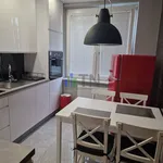 Rent 2 bedroom apartment of 53 m² in Wrocław