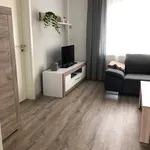 Rent 1 bedroom apartment of 50 m² in Brunswick