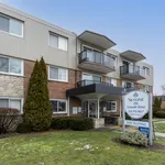 Rent 1 bedroom apartment in Sarnia