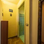 Rent 1 bedroom apartment in florence