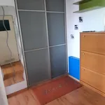 Mieszkanie kawalerka z oddzielną kuchnią 33 m² na wynajem Chełmno