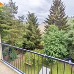 Rent 2 bedroom apartment of 62 m² in Chemnitz