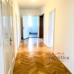 Pronajměte si 1 ložnic/e byt o rozloze 150 m² v Prague