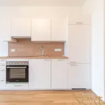 Rent 1 bedroom apartment of 36 m² in Linz