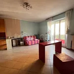 Rent 2 bedroom apartment of 30 m² in Biella