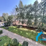 Rent 1 bedroom apartment in Děčín