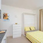 Studio o rozloze 20 m² v prague