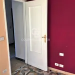 Rent 2 bedroom apartment of 55 m² in Torino