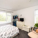 Rent 3 bedroom house in North West England