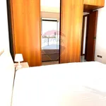 Rent 2 bedroom apartment of 45 m² in Milano