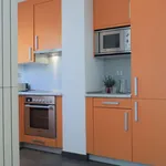 Rent 4 bedroom apartment of 1 m² in madrid