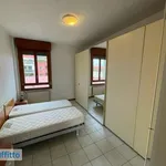 Rent 2 bedroom apartment of 70 m² in Milan