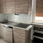 Rent 1 bedroom apartment of 110 m² in Novara