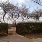 Rent 4 bedroom house in Campobello di Mazara