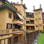 Rent 1 bedroom apartment of 40 m² in Peschiera Borromeo