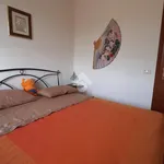 Affitto 2 camera casa di 45 m² in Latina