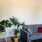 Rent 3 bedroom apartment in Granada