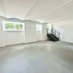 Rent 1 bedroom apartment of 60 m² in Vienna